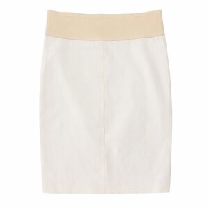 Brunello Cucinelli skirt